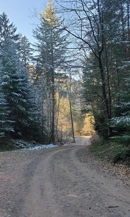 Waldgaststaette Alte Schmelz